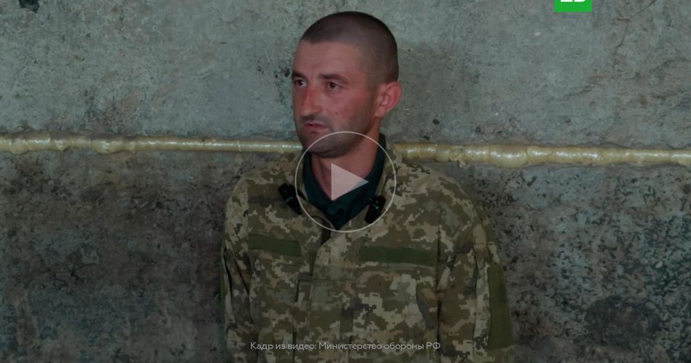 ���� ������ ������ �� ������: ������� ���� ��� ��������� � ���������� ��������