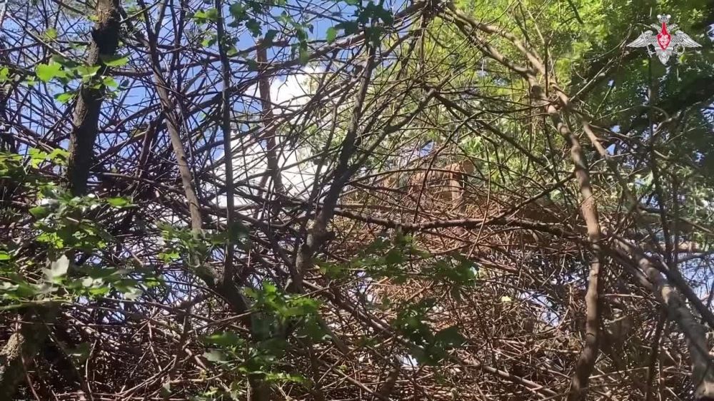 �� ������ ���������� ��