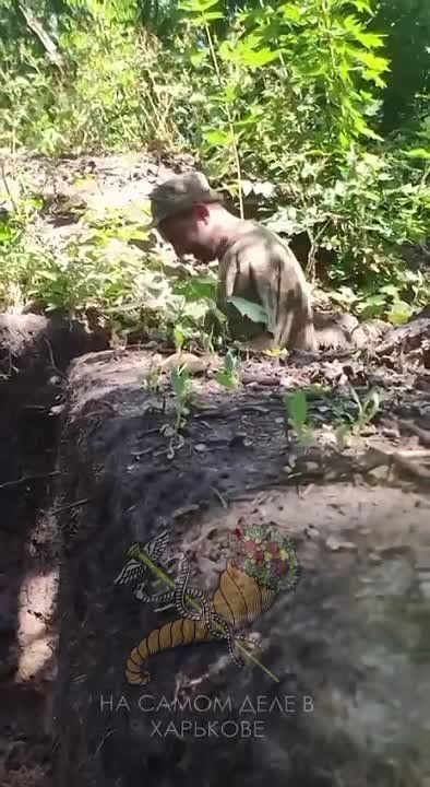 ������� ������: ������ ��� �� ������� �������� ���������