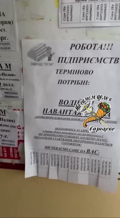 �� ������� ���� ����������� �� ���������� � ��������