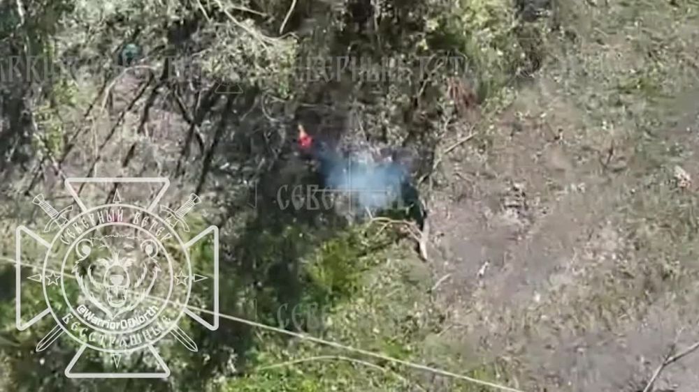 ��������� ��������� ���������� ������� ��� ��� ����������