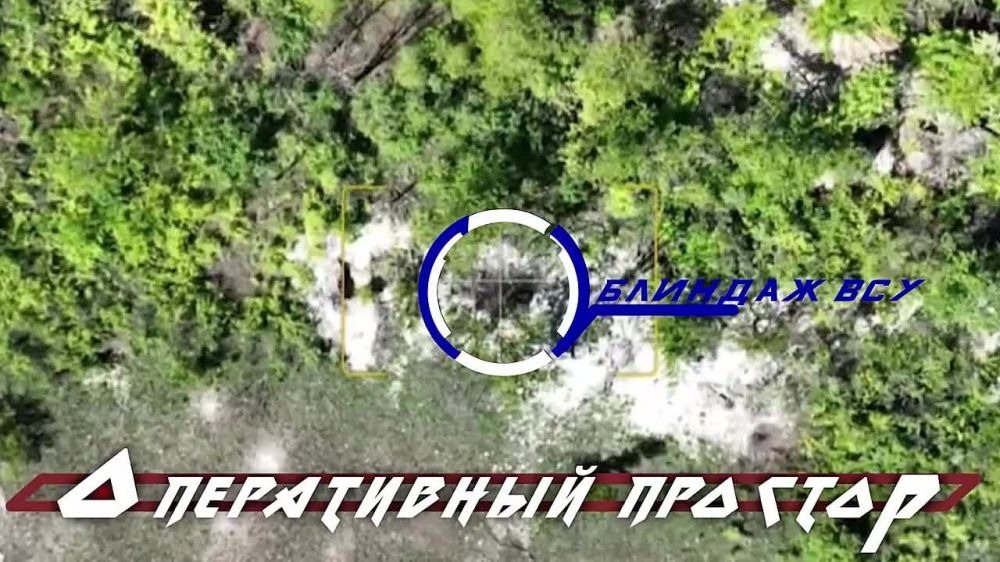 6 ����� ���������� �������� ���������� �� ��������� �����������