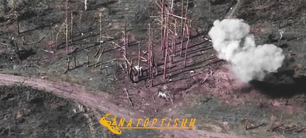 ��������� �������: ��������� FPV ����������� "�����" ������ ������������ ���������, ���������� ��� ��� � ������ ���������� �������� ������� ���������� �� ����������� �����������