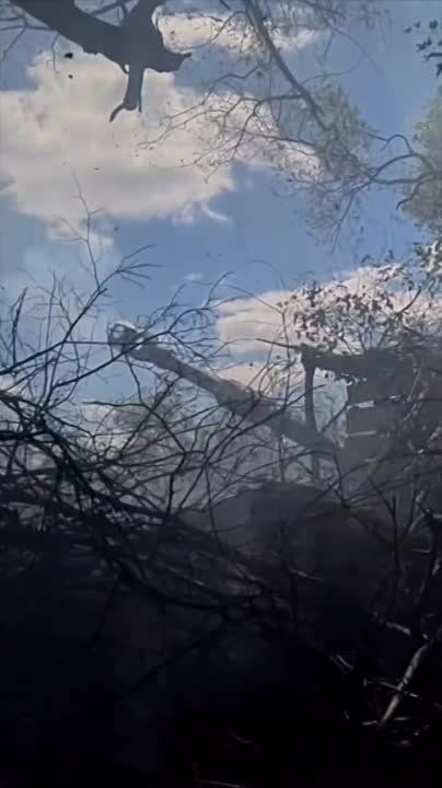 ������� ��������: ������������ ���������� ������ ������ ������ ������� � ������� � ������� ������������ ������ ��� ���, � ����� ����� ����� ����� ����� �� ���, ������ �� ��� �� ����� (��������� ������� ��� ���������� ���������� �����)