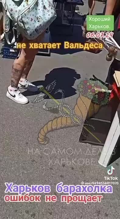 ����������� ���������. �����-�� ���-����� ������ ������������� �������� � ����� � ����������. �� ����� ���� ������� � ������, � �� ������ � ��������