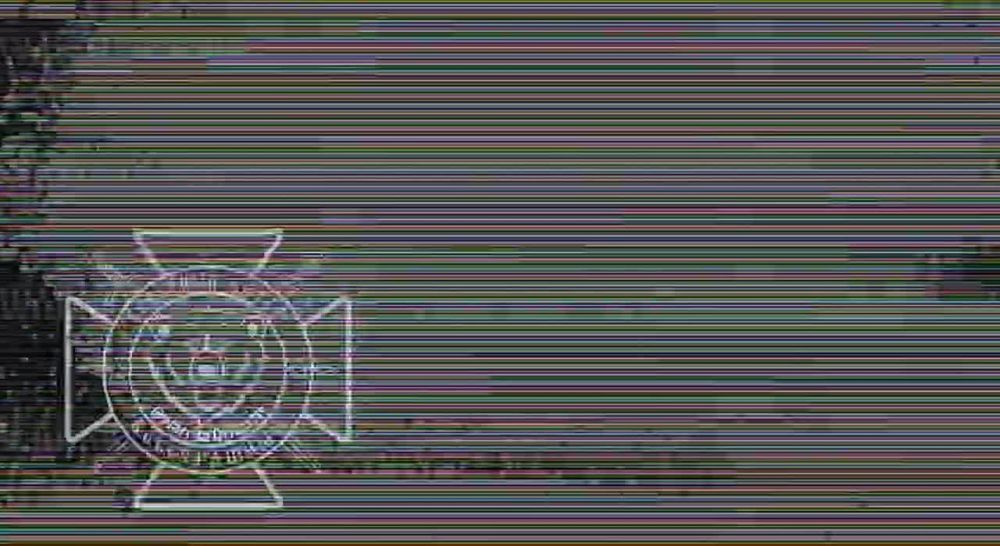 ����������� ������� ��� ��������� FPV ����������� "�����"