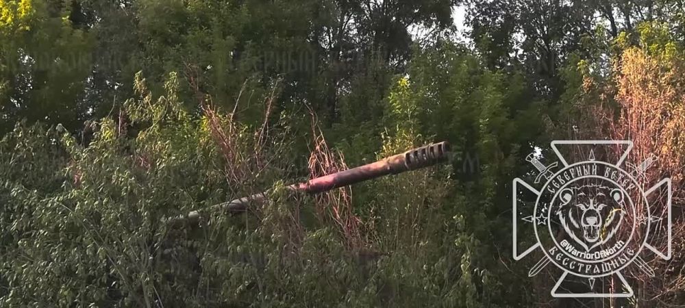 ����� ������ ������� ��������-� � ����������� �������