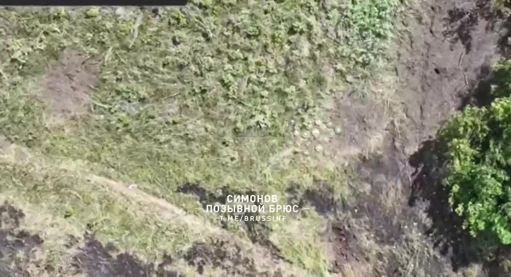 ��������� �����������. ��������� 1-� �������� ������, ��� ��������� ���������� ����, ����� ������������ ������� � ������� � �������� ������� � ������