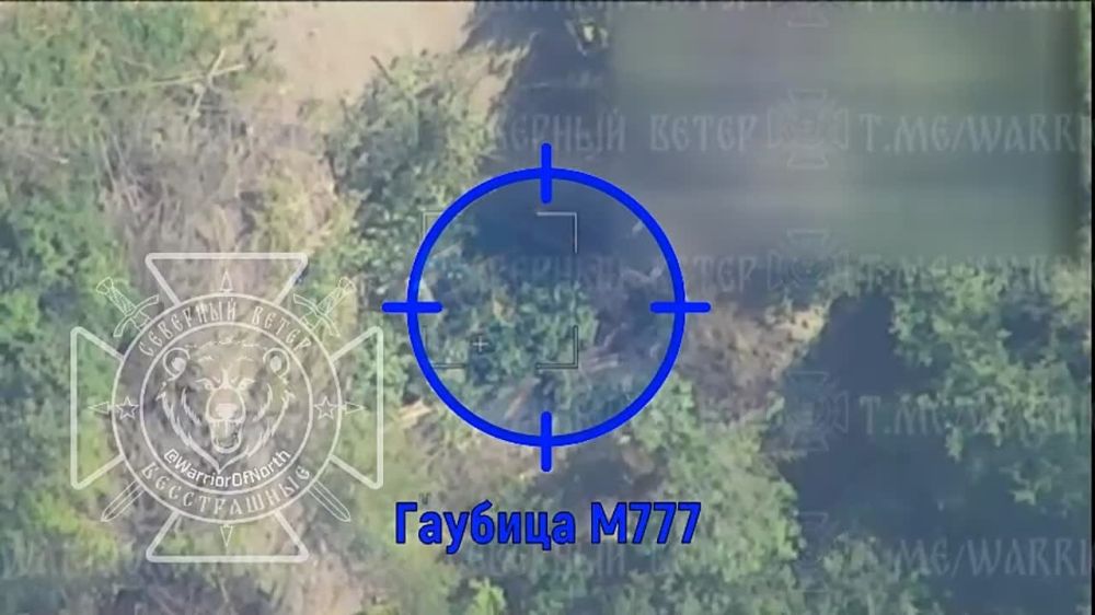 "��������" ����������� "�����" ������ ��������� ������������ �������