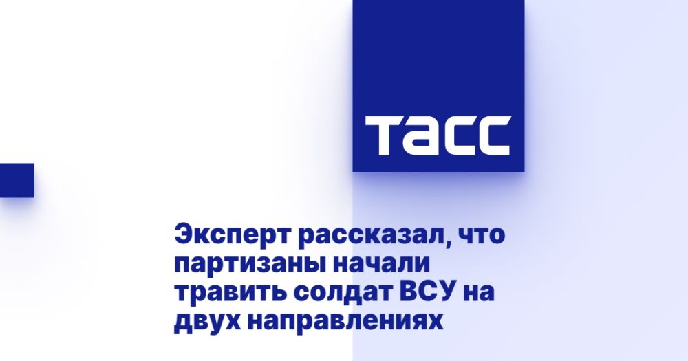 Эксперт рассказал, что партизаны начали травить солдат ВСУ на двух направлениях