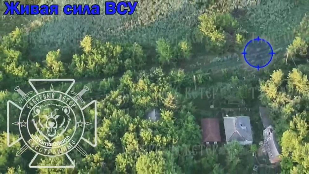 ������ ����������� ��������� ������� ����� ��� ���������