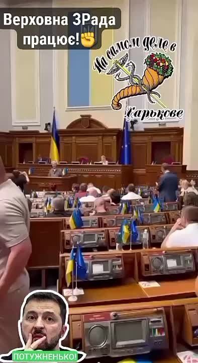 �������!. ���� ��������� ���� ������ ����� ���������� �������� � ������� ���� �� ������ ������������� � 11384 �������������...