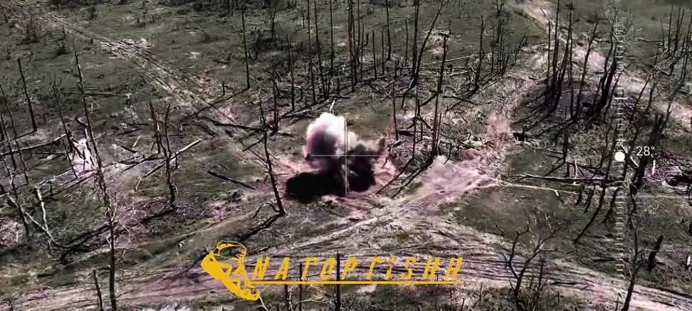 ����������� ����������� �������� � �������� ��������� � ����������� �������