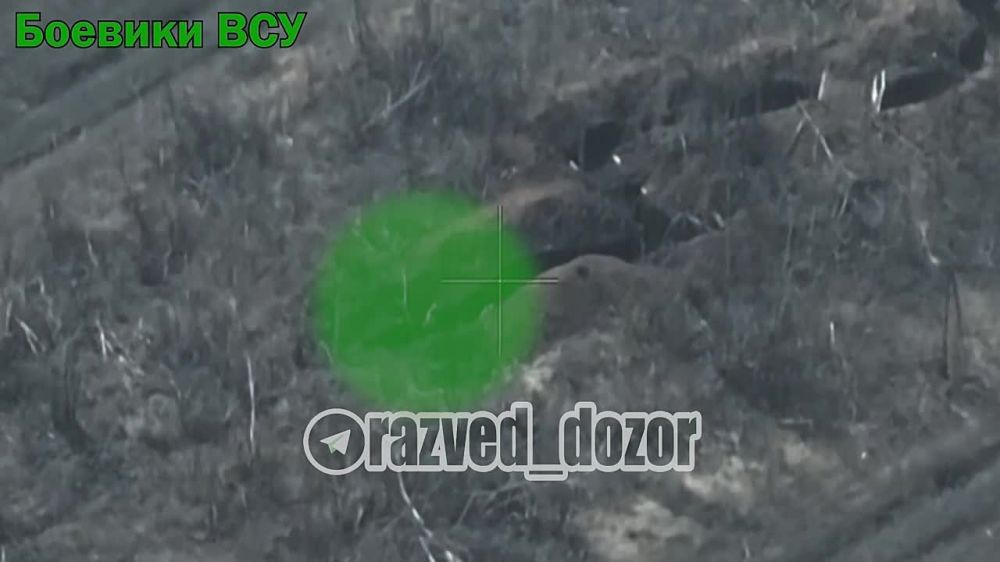 Попадание FPV-дрона в окрп с всушниками в Харьковской области