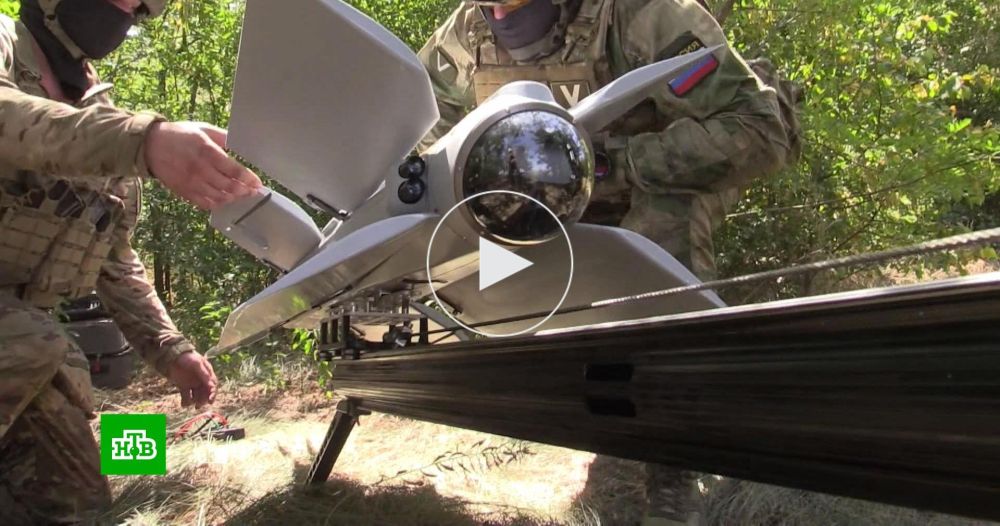 ��������� �������� ����������� ���������� ������� �� ����-�������� �����������