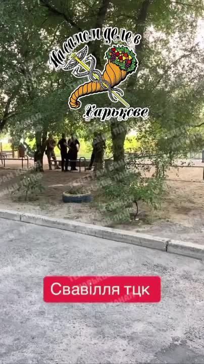 ������� ����� 8 ���� � �������� ��� ������ � �������� ������ �������� ����� � ���������� ��� �������� � �����