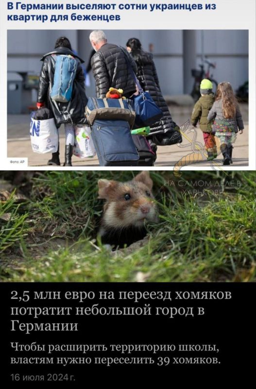 ������� � ����������� � ��������