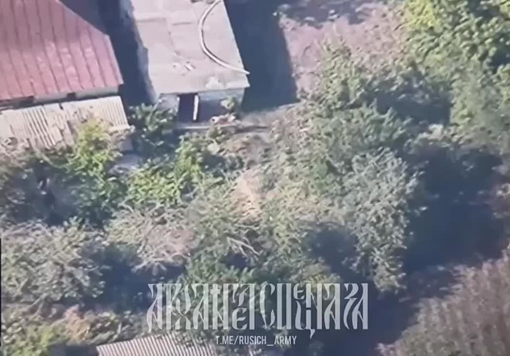 ����������� �����������