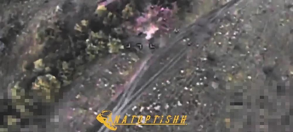 ���������������� ���� ����������� "�����" ��� ������������� ���������� �������� � ����������� �������