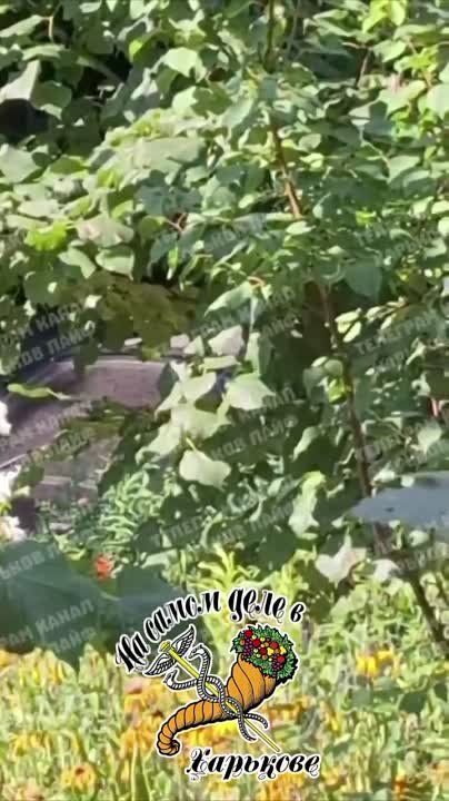 � �������� �������� ����� ��� ��� �������� ������� �� �����, ������� ����� �������, ��� ������ � ���� �� ������