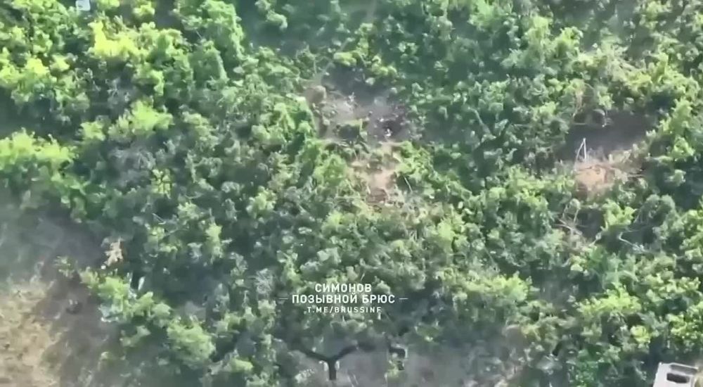 ��������� �����������. ������ ��������� ������ ���������� �� �������� fpv-������� ����������