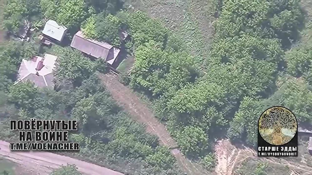 Харьковская область, зона ответственности группировки «Север»