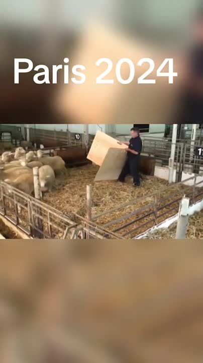 Увидеть Париж и умереть!