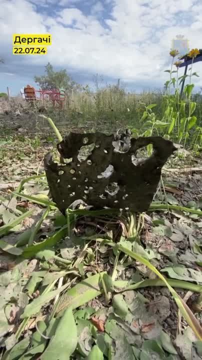 ��� �� �������� ��� �����, � �������� ����������� ������� ���� "���� ������� �i�����"