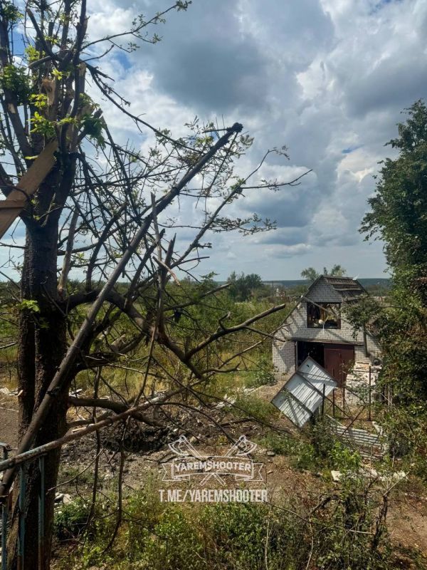 �.�. �������� � ����������� ������� ��������� ������� ������������ 155-�� �������