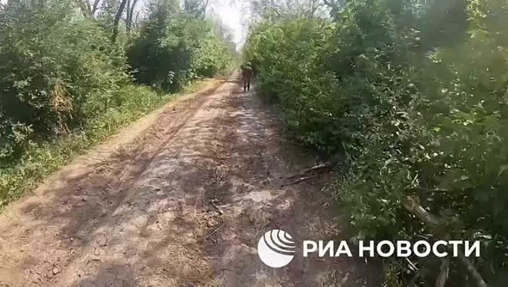 �������� � ������ ���������� ������ � ��������� ����������� �������, ��� ������������ ������ ��������