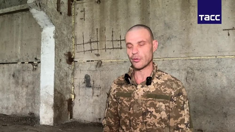 ���� ��������: ��� ���� "�������" �� ��������� � ���������