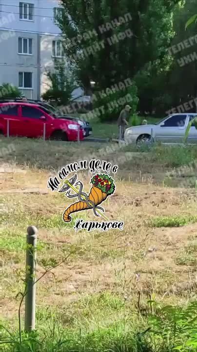 ��������. ������� �������� �� ����� � ��������, ������ � ������ � ������