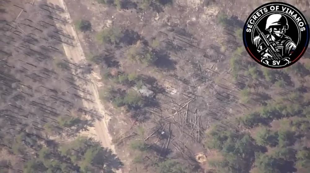 ����������� �������� ������� ������ ������� ����������� �� ��������� �����������