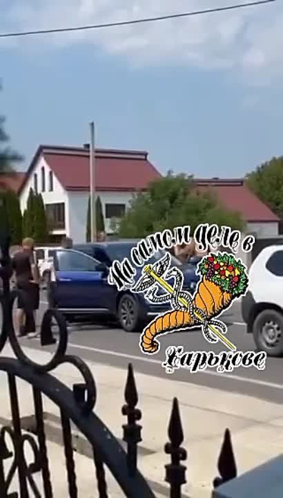 �������. ��������� �������� ������ ����������� �����������