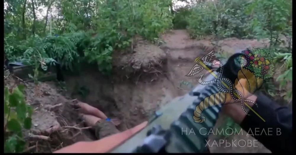 ������� ���: �������� ���