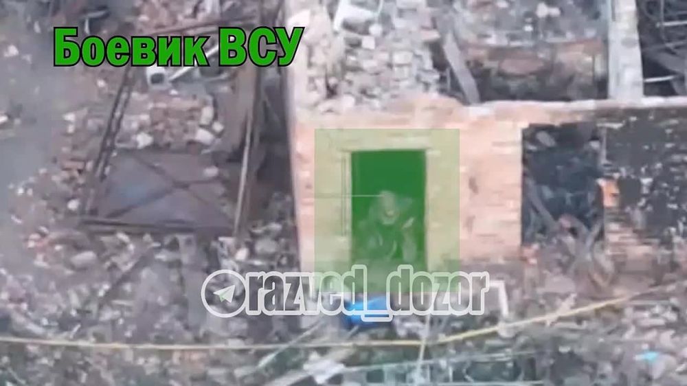 ��� �� ��������. �������� FPV ����������� "�����" ����������, �������������, ������� ���