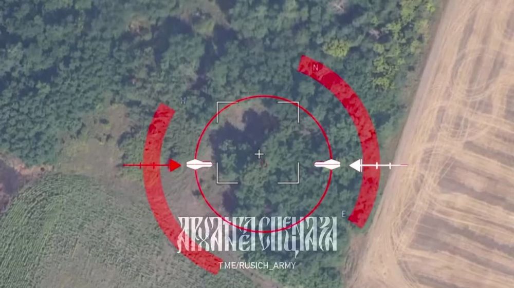 ����������� �����������