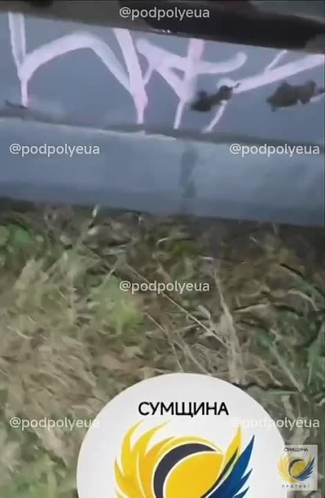 ��������� �������: ��������� �� ������� ���������� ������� ������� ������� ������ � �������� �����, ������ � ������� ����������