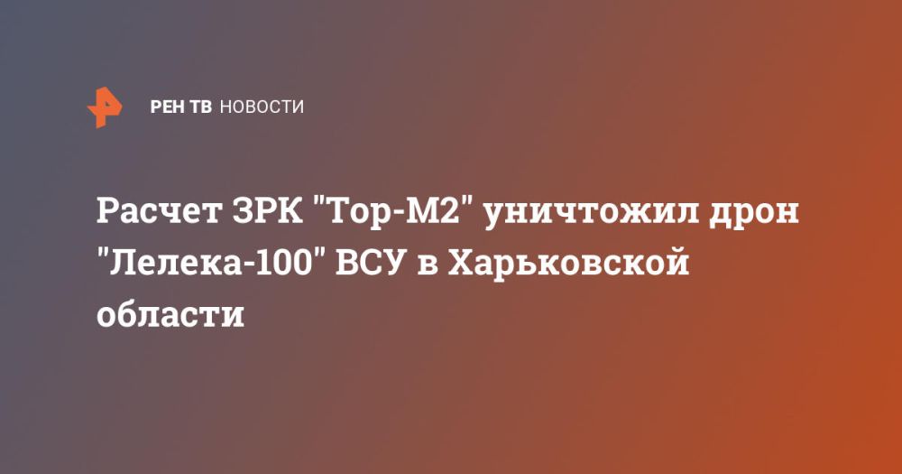 Расчет ЗРК "Тор-М2" уничтожил дрон "Лелека-100" ВСУ в Харьковской области