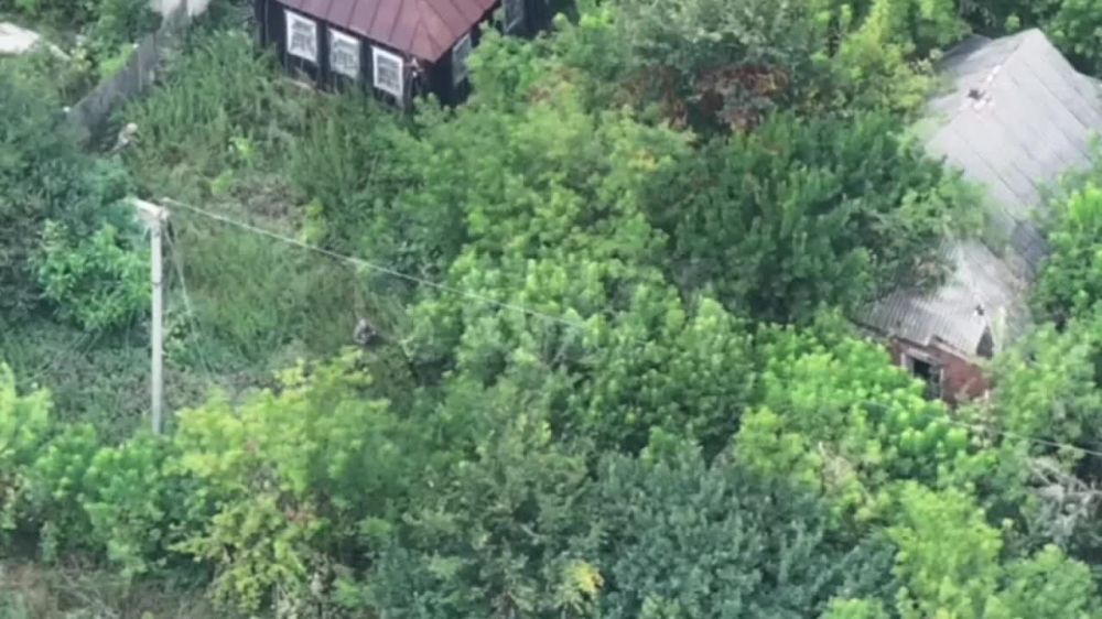 ����� �����������... ����� ����� ������ � ����