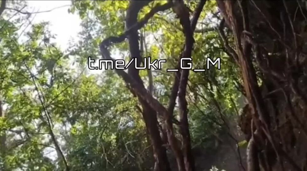 ��������� �������: ���������� ������������ ���������� ����� ������� ������������ ������ �� ���� ����� ������