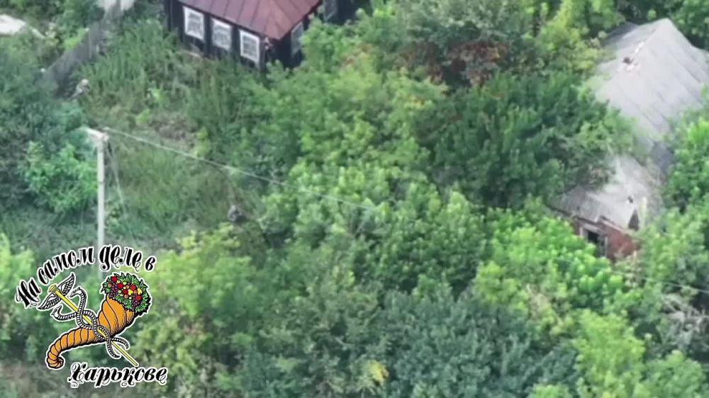 ����������� �������. ������ �� �������� �� ������ ���� ����� ���������� ����. ��������� ��� �������� � ������������ � ��������� �������