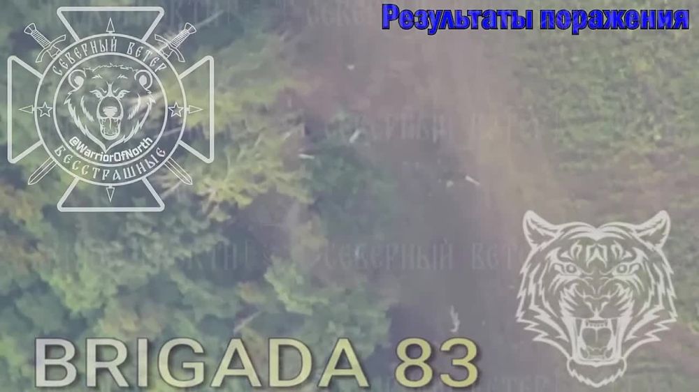 ����������� ���� ������ ��� ������� ����������� "�����"