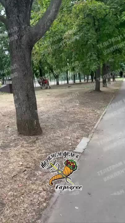 ��� ��� ��� ���������� "������������" ����������, ��� "��� ������� �������� �� ����� ����� ��������� ����������, ���� ����� ��� ����������� �������"