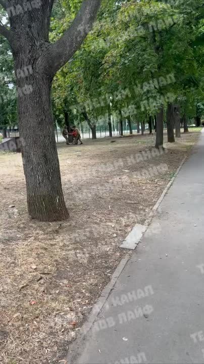 �������. ����� ����� ����������� ��� ������ �� �����