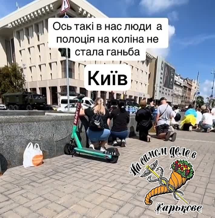 ������ "����������� �������"