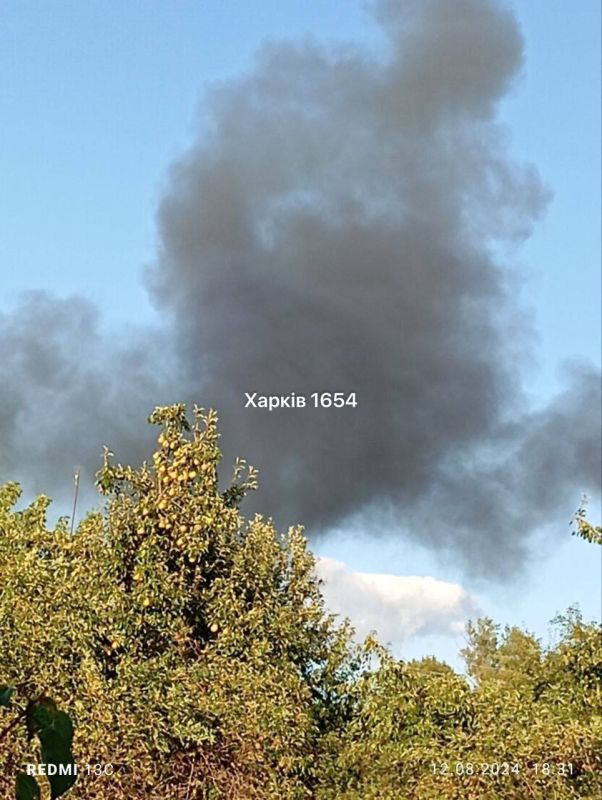 �� ���������� ����������� ������� ���������