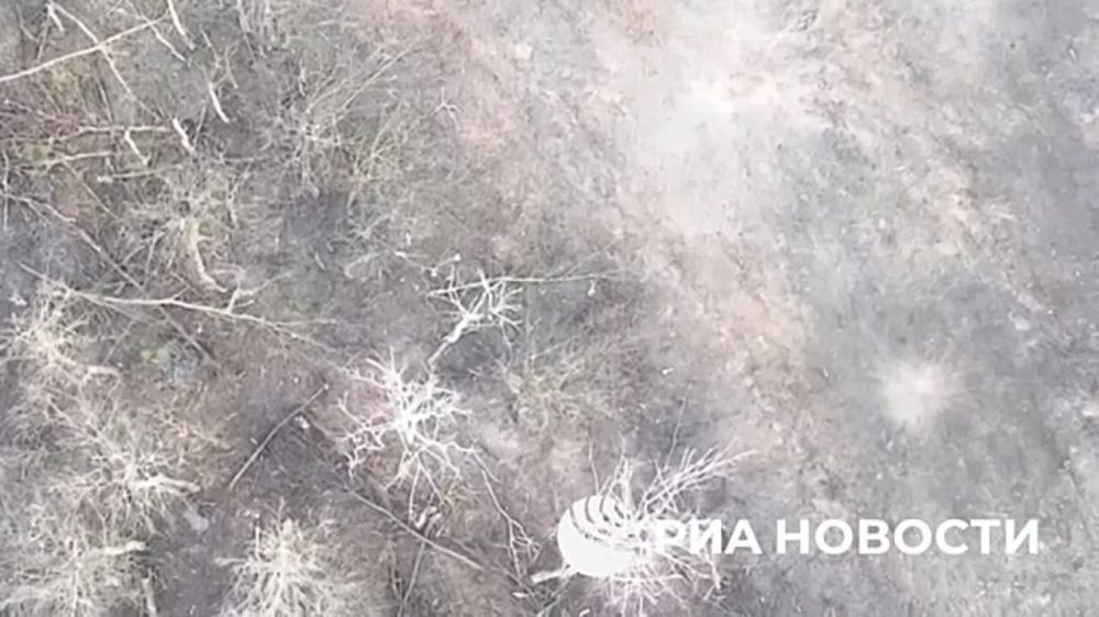 "����� �������� ������, ��� ��������"