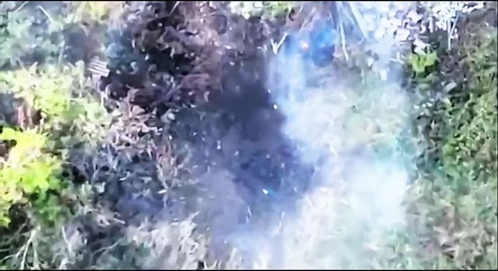 VS ������� ���� ������ ����� ���