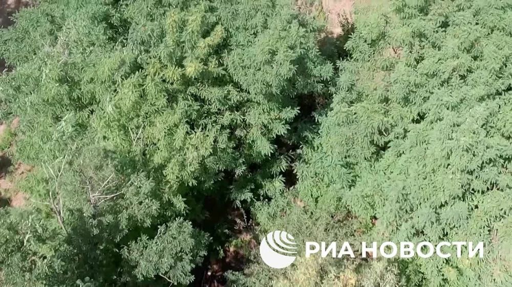 ����� 810-� ������� ������� ������ ������������� �� ������� ��� ��� ������ ���������� ��� ���������� ����� � ������ ���� ����� ������� �������